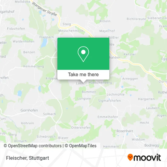 Fleischer map