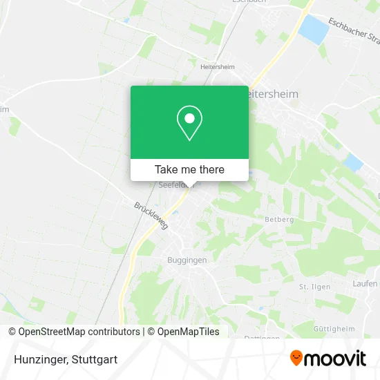 Hunzinger map
