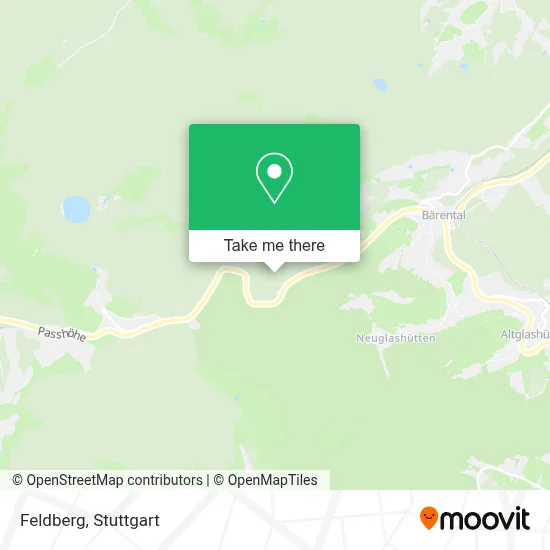 Feldberg map