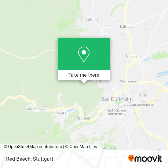 Rotbuche map