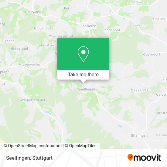 Seelfingen map