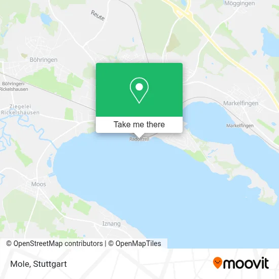 Mole map