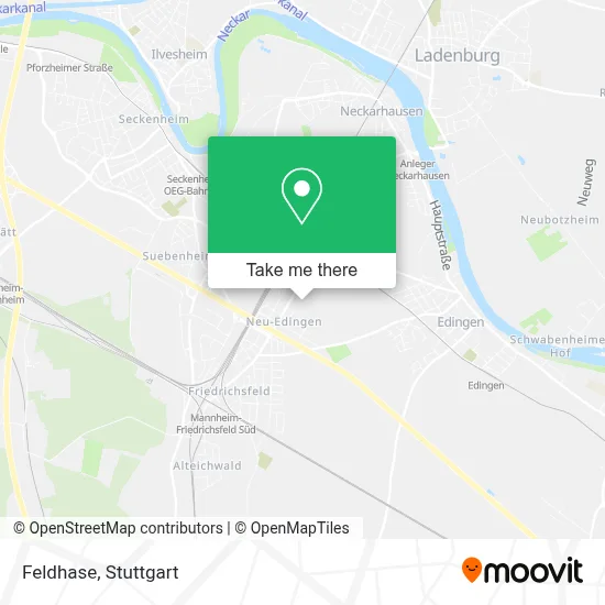Feldhase map