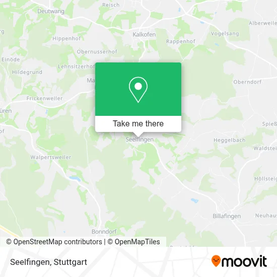 Seelfingen map