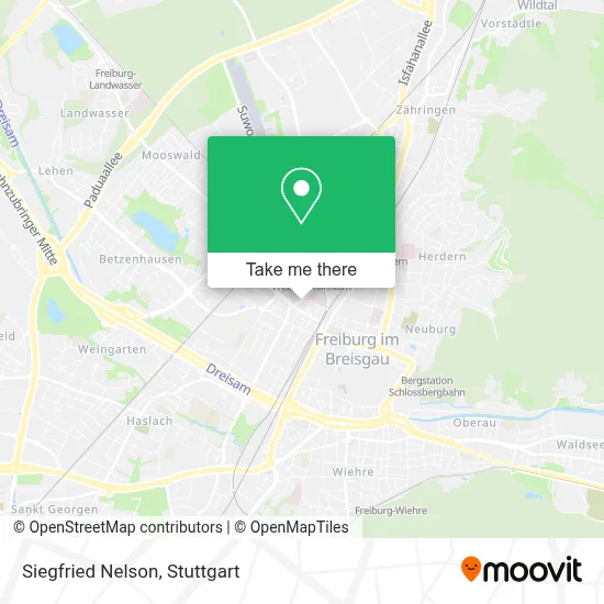 Siegfried Nelson map
