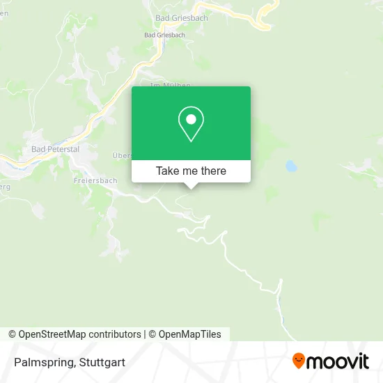 Palmspring map