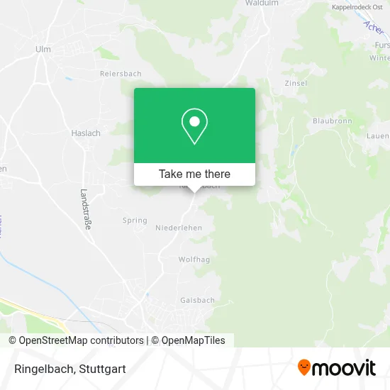 Ringelbach map