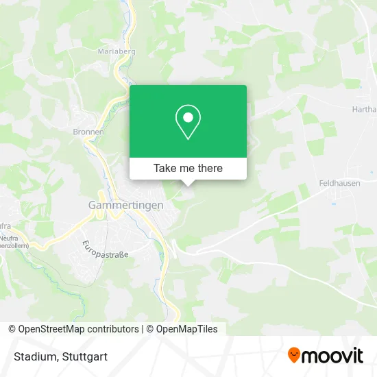 Stadion map
