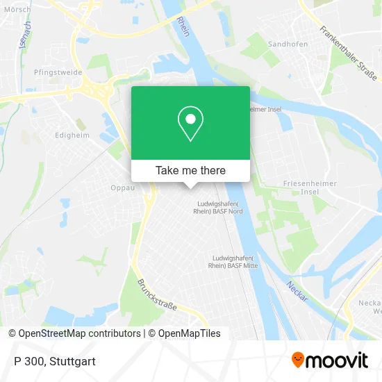 P 300 map