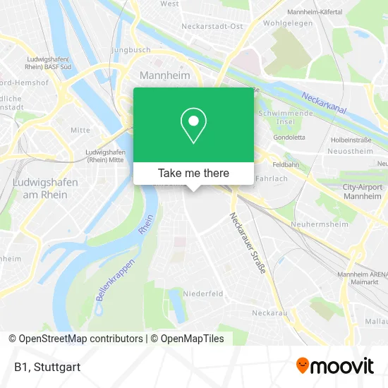 B1 map