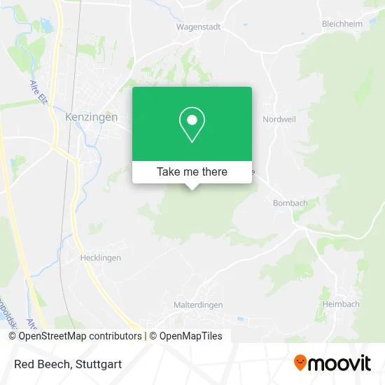 Rotbuche map