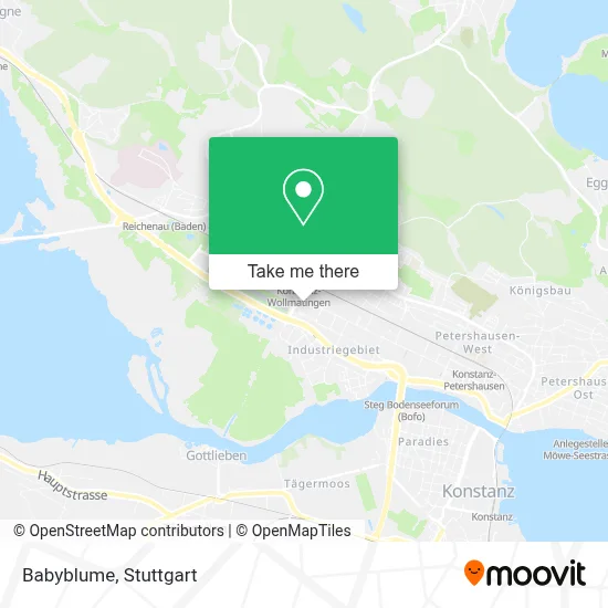 Babyblume map