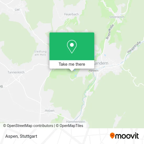 Aspen map