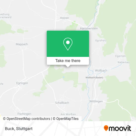 Buck map