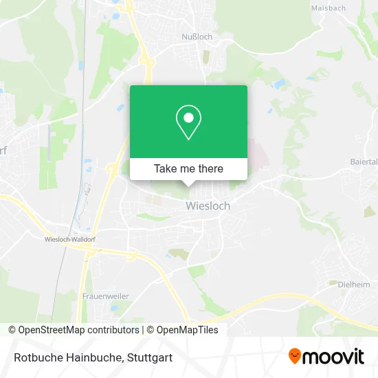 Rotbuche Hainbuche map