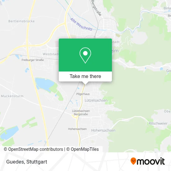 Guedes map