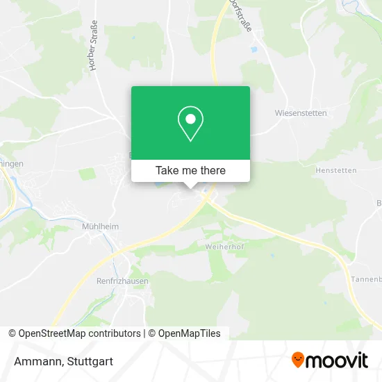 Ammann map