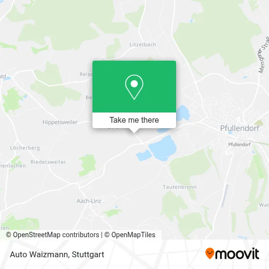 Auto Waizmann map