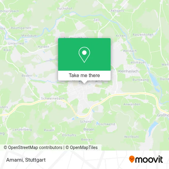 Amami map