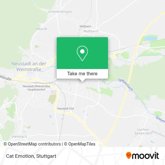 Cat Emotion map