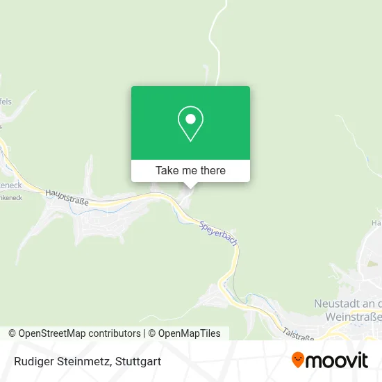 Rudiger Steinmetz map