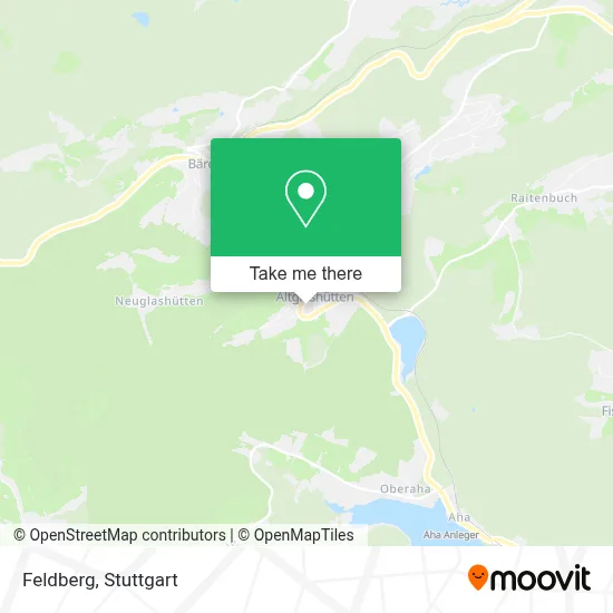 Feldberg map
