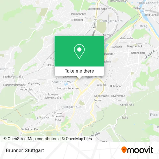Brunner map