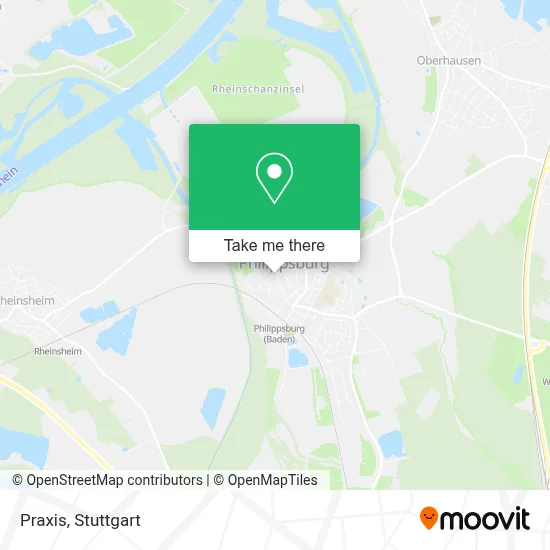 Praxis map