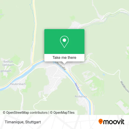 Timanique map