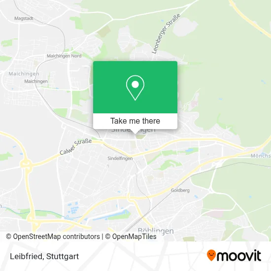 Leibfried map