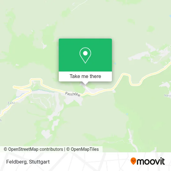 Feldberg map