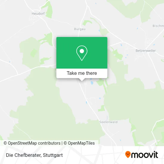 Die Chefberater map