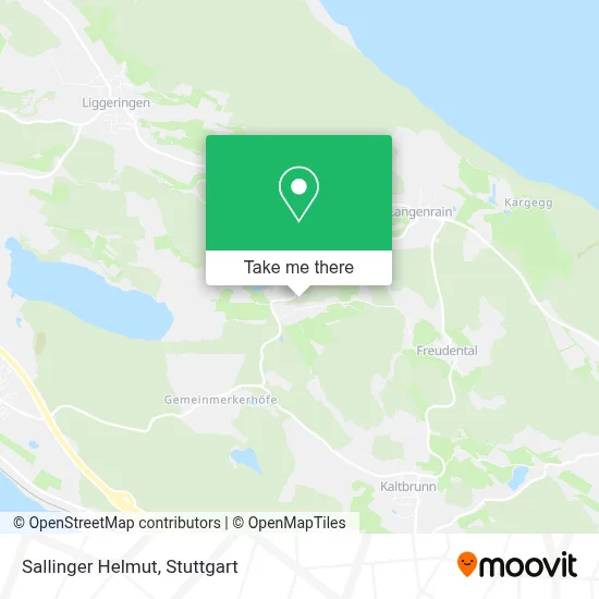 Sallinger Helmut map