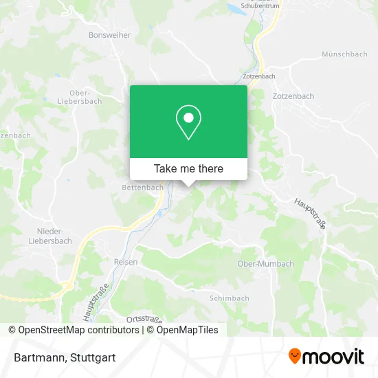 Bartmann map