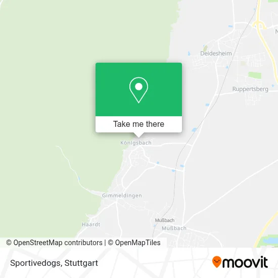 Sportivedogs map