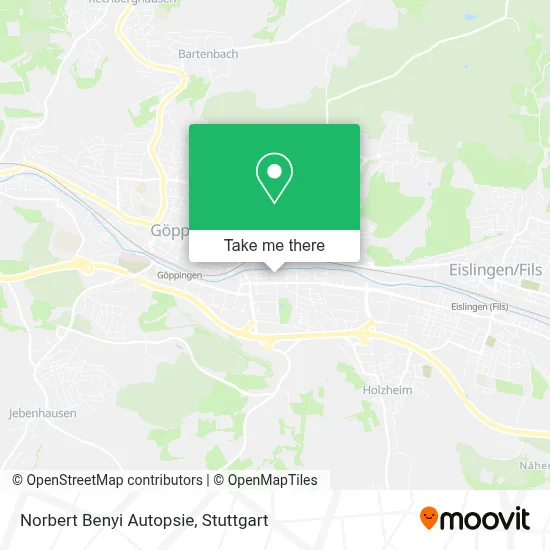 Norbert Benyi Autopsie map