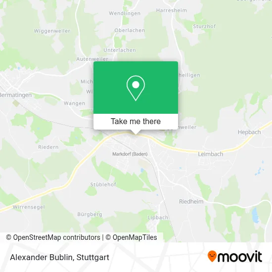 Alexander Bublin map