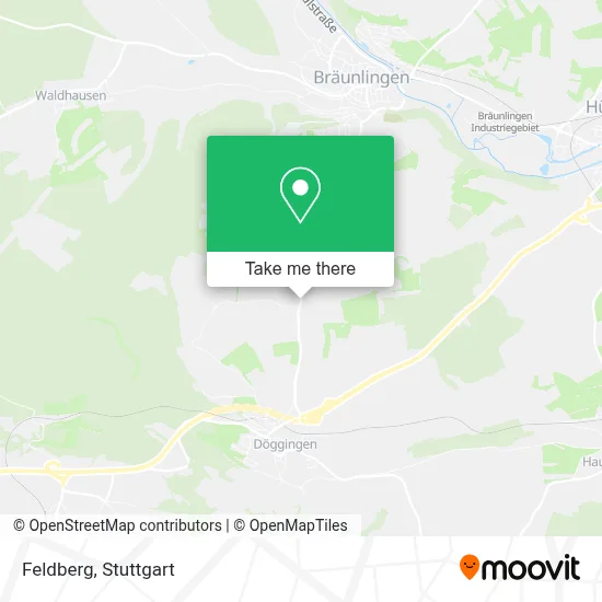 Feldberg map