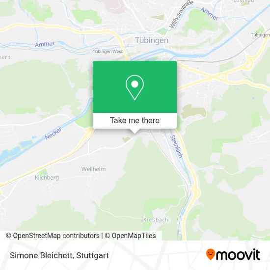 Simone Bleichett map