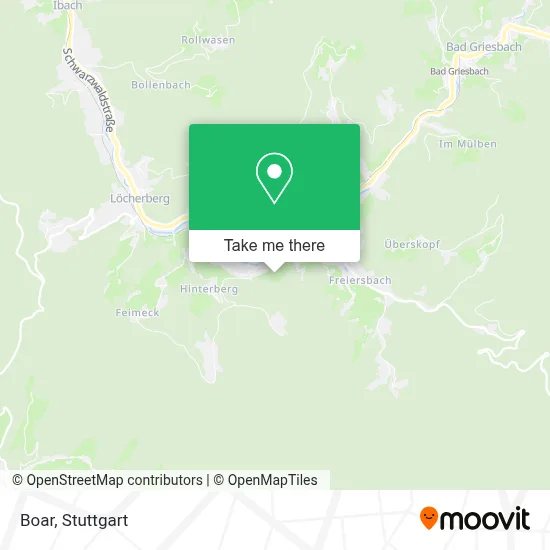 Boar map