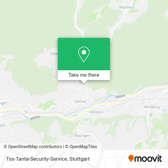 Tss-Tanta-Security-Service map