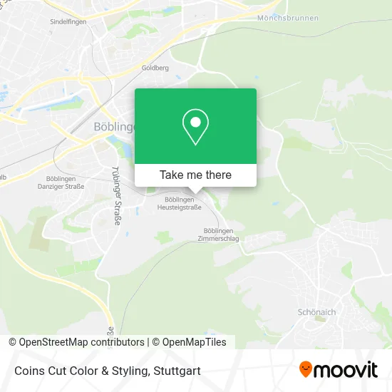 Coins Cut Color & Styling map