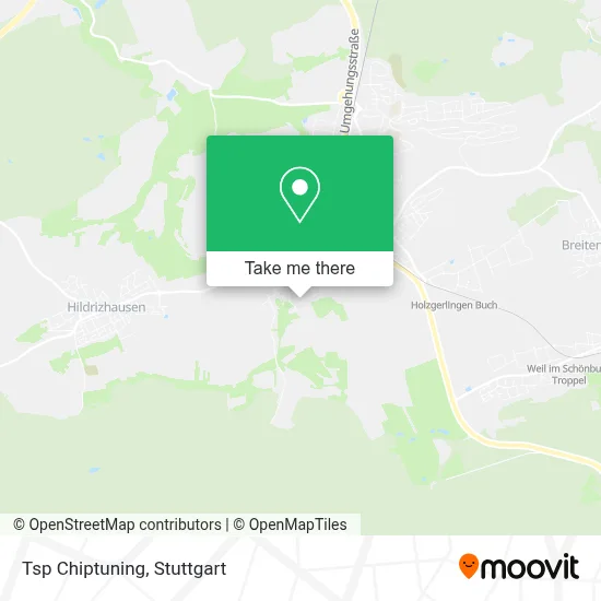 Tsp Chiptuning map