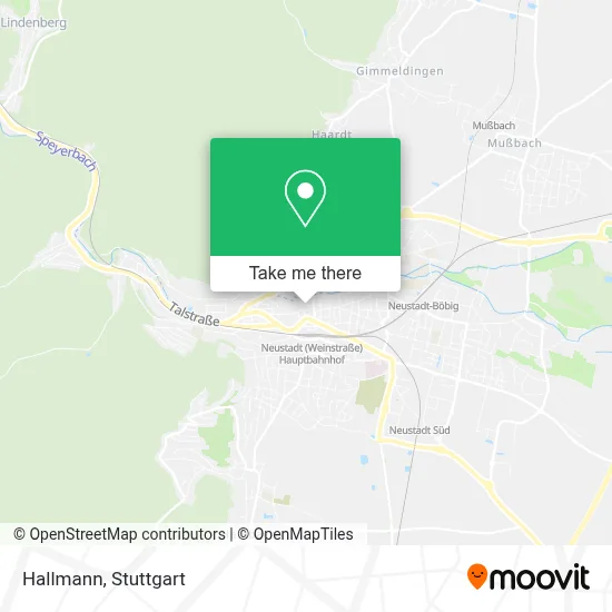 Hallmann map