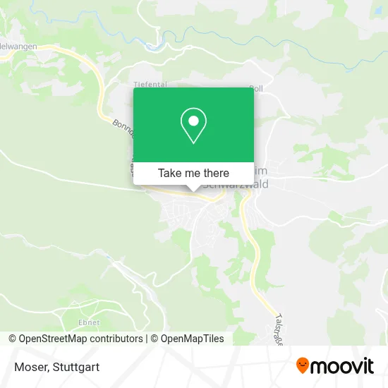 Moser map