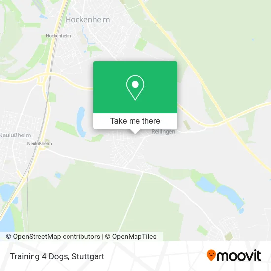Training 4 Dogs map