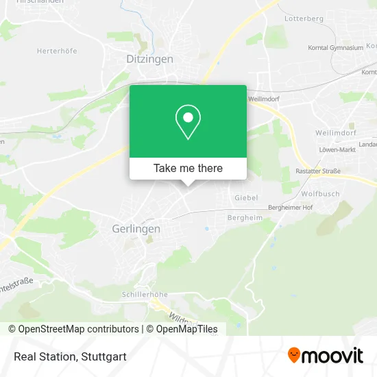 Real Station map