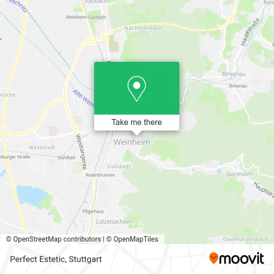 Perfect Estetic map