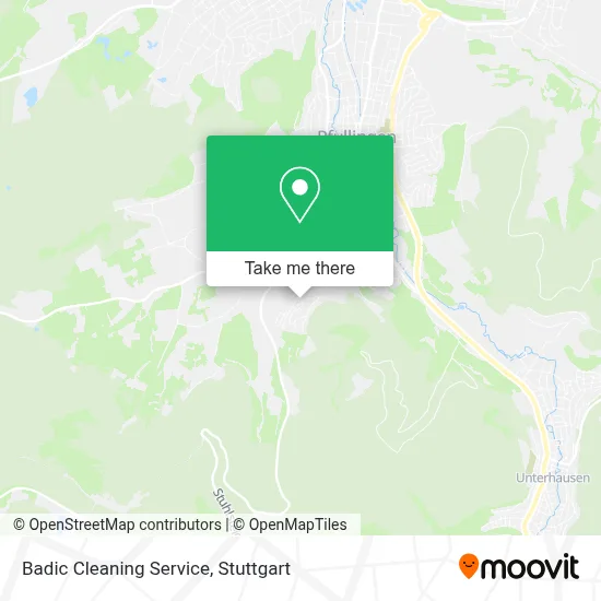 Badic Cleaning Service map