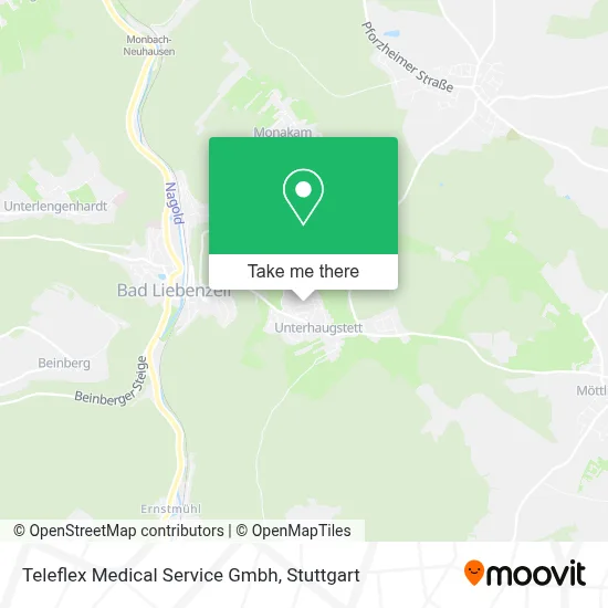 Teleflex Medical Service Gmbh map